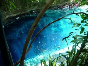 563486_10150682269331009_832601908_n