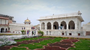Amazing Manicured Landscape