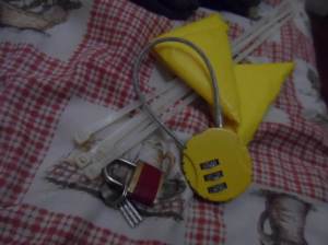 padlocks always come handy for backpackers. usually dorms have lockers  but you have to rent a lockset if you do not have one.