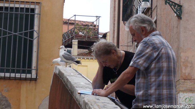 venice2015josemanuel46