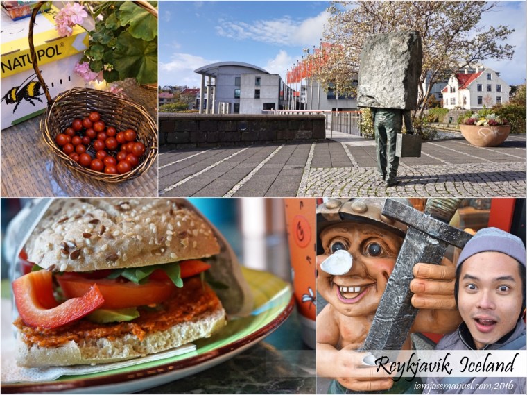 reykyavik-city-2016-iamjosemanuel