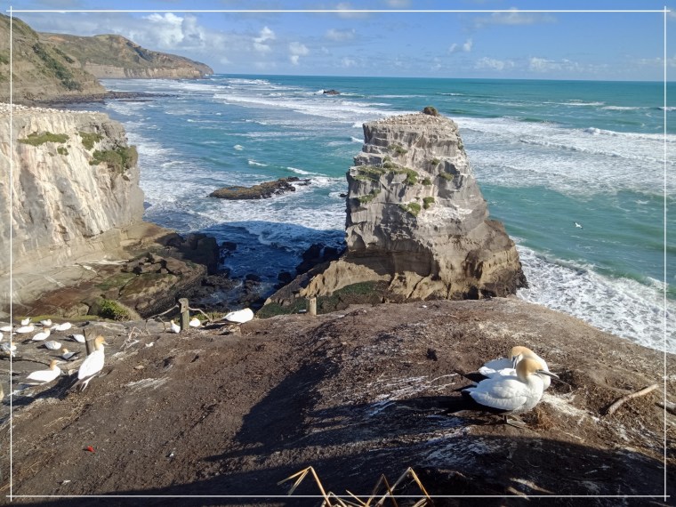 aucklandjosemanuel24